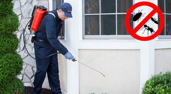 Göztepe Karınca İlaçlama böcek ilaçlama ve haşere kontrolü — ilaclama-tr.com